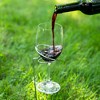 True Picnic Stix Wine Glass & Bottle Holders - Outdoor Wine Glass Beer Cup Drink Holder  - Set of 3 (Pack of 1), Fits 2 Glasses and 1 Bottle, Metallic - 3 of 4