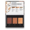 Black Radiance True Complexion Contour Palette - 0.38oz - 3 of 4
