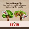 GardenTech Sevin Insect Killer Liquid, Ready-to-Spray - Case of 6 - 32 oz - 3 of 4