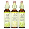 Bach Clarity of Mind Focus Kit, 3 Droppers, 0.7 fl oz (20 ml) Each - 3 of 4