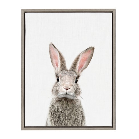 Kate Laurel 24x18 Sylvie Female Baby Bunny Rabbit Animal Print Portrait By Amy Peterson Framed Wall Canvas Gray