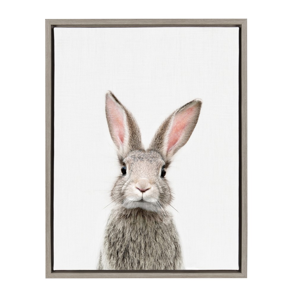 18" x 24" Sylvie Young Rabbit Framed Canvas by Amy Peterson Gray - Kate and Laurel