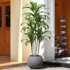 DR.Planzen 7ft UV Resistant Artificial Dracaena Tree with Gray Tall Planter, Pre Potted Fake Plants for Indoor Outdoor Home Decor, Big Faux Tree - 2 of 4