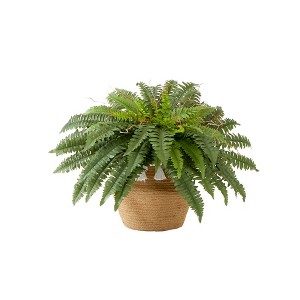 Nearly Natural 23-in Artificial Boston Fern Plant in Handmade Jute & Cotton Basket with Tassels DIY KIT - 1 of 4