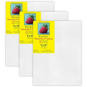 Strathmore 300 Series Traditional Stretched Canvas, 9x12 inch, Pack of 3 - 1 of 4