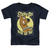 Toddler Boys' Scooby Doo Where Are You T-Shirt - 2 of 4