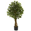 Nearly Natural Ficus Artificial Tree UV Resistant (Indoor/Outdoor) - 2 of 3