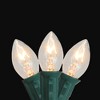 Northlight 25ct Incandescent C7 Christmas Lights Transparent Clear - 24' Green Wire - 3 of 4