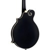 Luna BGM Moonbird F-Style Piezo Mandolin Satin Black - 2 of 4