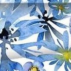 butterfly loves flower