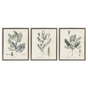 Stupell Industries Green Botanical Latin Study, 17" x 21" - 1 of 4