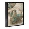 Stupell Industries Centered Sharkeye Seashell, 24" x 24" - 3 of 4