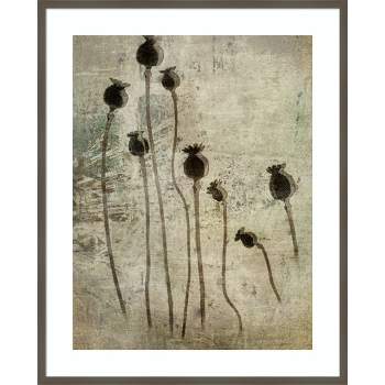 33" x 41" Poppy Seedlings by Nel Talen Wood Framed Wall Art Print - Amanti Art
