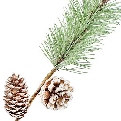 Frosted Pine Cone and Evergreen Christmas Floral Picks, 6-Pack