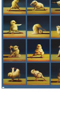 clear push pins bundle