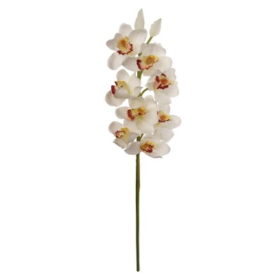 Floral Home 30" Cream Cymbidium Stem - 12-Piece