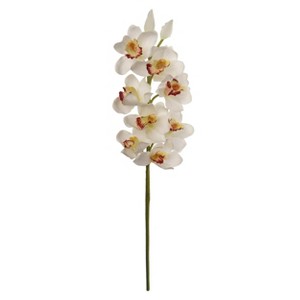 Floral Home 30" Cream Cymbidium Stem - 12-Piece - 1 of 2