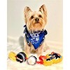 Parisian Pet 'Rock Star' Bandana for Dogs & Cats - Fashionable, Comfortable Blue Pet Bandana for Trendy Pets - 2 of 4