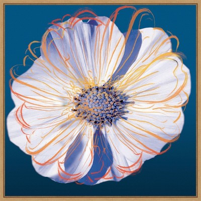 Flower Pop Pastel II Abstract Canvas Print with Maple Frame