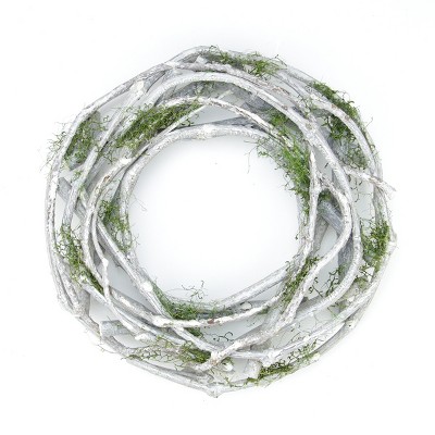 Northlight 11" Unlit White Twig and Green Moss Artificial Christmas Wreath