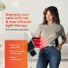 LifePro Infrared & Red Light Therapy Belt for Muscle Relaxation, Inflammation Reduction, and Improved Circulation. - 2 of 4