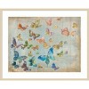 Amanti Art Butterflies by Danhui Nai Wood Framed Wall Art Print - 4 of 4