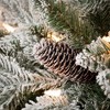 4'H Sullivans Potted Lit Flocked Tree, Green - 2 of 2