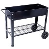 Gulches Elevated Mobile Ergonomic Planter with Wheels and Storage Shelf, Black - 3 of 4