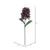 Vickerman 34" Artificial Cone Hydrangea Spray, 2 per bag - 3 of 4