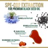 Black Seed Oil Softgels 1000mg, Premium Nigella Sativa Blackseed, Pure Natural Black Cumin Seed Oil, Antioxidant - 60 Softgels By Nature's Nutrition - 3 of 4