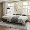 AMERLIFE 2 in 1 Pull Out Sofa Bed with Storage Chaise - 3 of 4