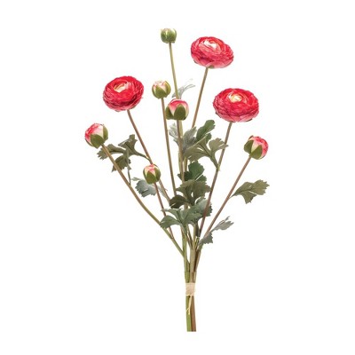 Melrose Ranunculus Bundle (Set of 2)