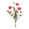 Ranunculus Bundle (Set of 2) - 3 of 3