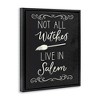 Stupell Industries Not All Witches Live In Salem Broom Floating Frame Canvas Art - 2 of 4