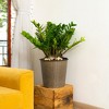 Gulches 13" Gray Wicker Self-Watering Planter, 13.4"x13.4"x12.2" - 2 of 4