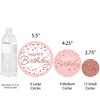 Big Dot of Happiness Pink Rose Gold Birthday - Happy Birthday Party Giant Circle Confetti - Party Decorations - Large Confetti 27 Count - 3 of 4
