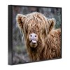 Stupell Industries Baby Cattle Licking Lips, 30" x 24" - 3 of 4