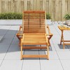 vidaXL Deck Chair Light brown Acacia wood Standard Foldable Deck Chair - 3 of 4