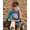 Deux par Deux Boy Long Sleeve Colorblocked Hooded Fleece Sweatshirt Blue - 2 of 4