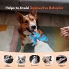 My T-Rex - Squeaky Dog Toys - Peter The Mini Pterodactyl Plush Dog Toy with Crinkle Paper - S - 4 of 4