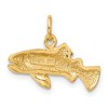 Black Bow Jewelry 14k Yellow Gold Polished Fish Charm or Pendant - 3 of 4
