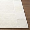 Hauteloom Antwan Wool Living Room, Bedroom Area Rug - Contemporary - High Pile - 2 of 4