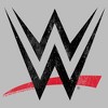 Boys WWE Classic Black Logo Lightweight Hoodie - 2 of 4