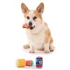 BARK Summer Big Shake Lake Snack Pack Dog Plush Toy - 2pc - 3 of 4