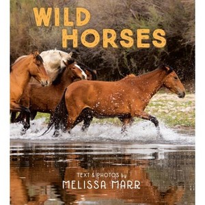 Wild Horses - by  Melissa Marr (Hardcover) - 1 of 1