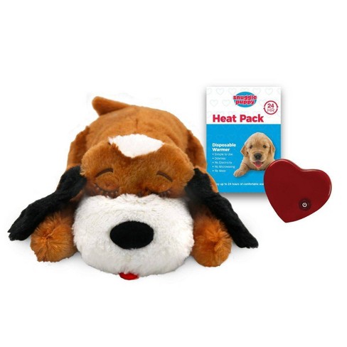 dog with heartbeat toy