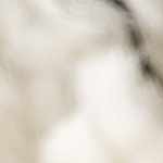 gray, beige, charcoal, medium gray, medium brown