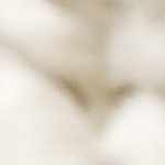 gray, beige, charcoal, medium gray, medium brown