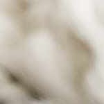 gray, beige, charcoal, medium gray, medium brown