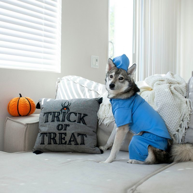 Midlee Scrubs Dog Costume (Medium), 2 of 9